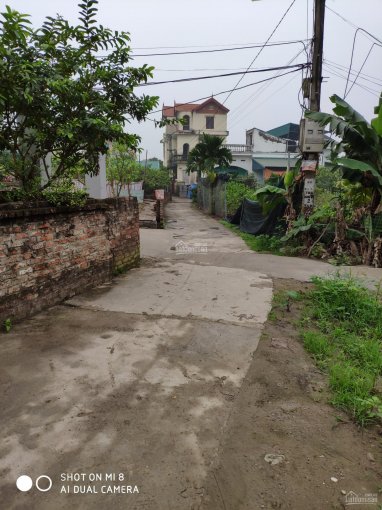 20190419154236-c06e_wm